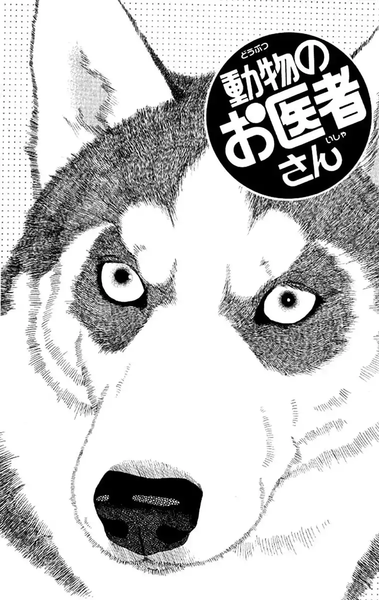 Doubutsu no Oishasan Chapter 97 2